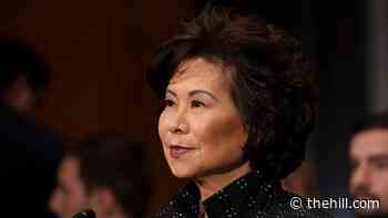DOJ declined to take up Chao ethics probe