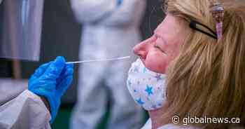 Coronavirus: 4 new cases for Peterborough and area, 27 presumed variant cases - Global News