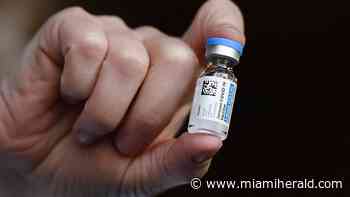 How soon after coronavirus infection should you get a COVID vaccine? - Miami Herald