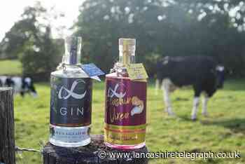 Rural Business Awards: Preston's Wild Fox Distillery honoured with win