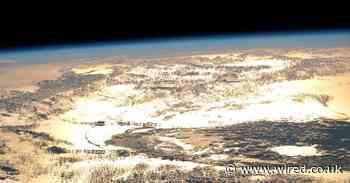 The great carp invasion is a climate lesson we must all heed