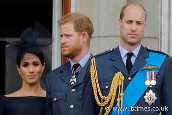 Prince Harry copies Prince William while protecting Meghan Markle from harassment