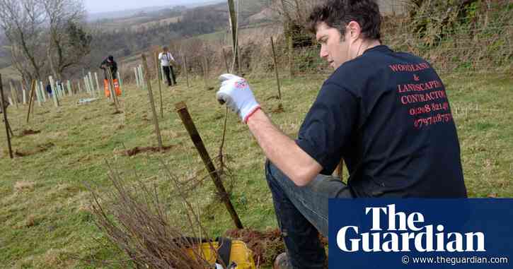 We can't contact Woodland Trust after root and branch cyber-attack