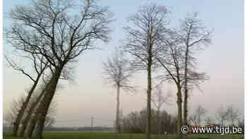 Nergens zonder weg in Beernem - De Tijd