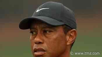 Tiger Woods Search Warrant Based on Possible Evidence of Reckless Driving