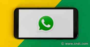 WhatsApp adds voice and video calls to its desktop app     - CNET