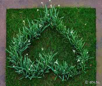 Nieuws 25/02/2021 Arboretum Kalmthout sterk dankzij vrijwilligers - ATV