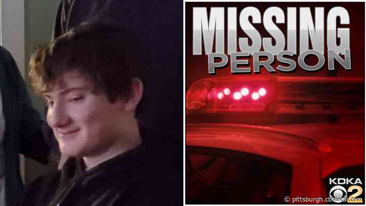 Castle Shannon Police Searching For Missing 14-Year-Old Griffin Lane