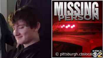 Missing Castle Shannon Teen Found