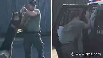 North Carolina Cop Under Fire for Choking, Hanging Police Dog by its Leash
