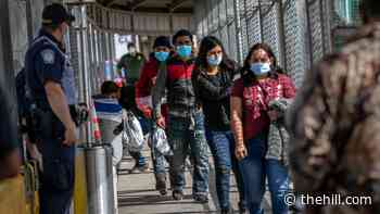 Republicans call for hearing on Biden's handling of border surge