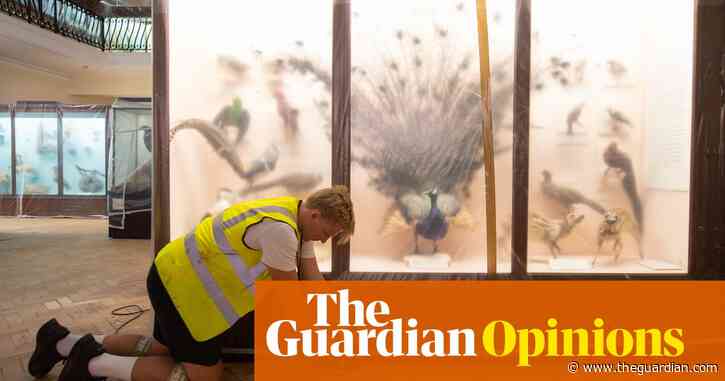 Six out of 10 museums now fear for their survival – but there have been surprising positives