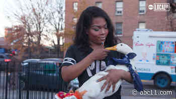 Meet NYC's only duck celebrity