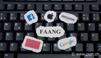 Ausblick - Wedbush-Analysten: «Die Party bei Tech-Aktien beginnt gerade erst» -  Cash