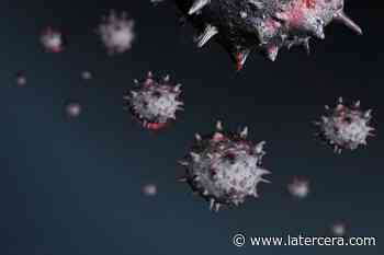 Las tres variantes del coronavirus más peligrosas y que preocupan a la OMS ya podrían estar circulando en el país - La Tercera