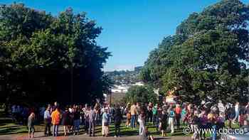 New Zealanders seek higher ground after a 3rd strong earthquake sparks tsunami warnings