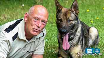 Netphen: Online-Kurse für Hunde im Corona-Lockdown - Westfalenpost