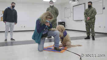 Therapy dogs bring smiles, 'fur-filled' memories to naval base