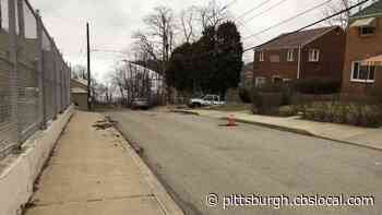 Fragments Of Bones Found In Street Near VA Hospital In Pittsburgh