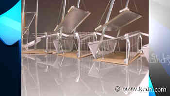 UL Lafayette architecture, design students’ work displayed in “a structure for play” exhibit - FOX 15