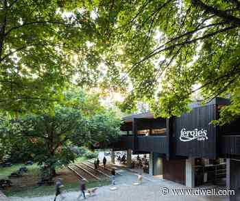 After a Fire Razes a Beloved Cafe, the Owners Build Back—and Better Than Ever - Dwell