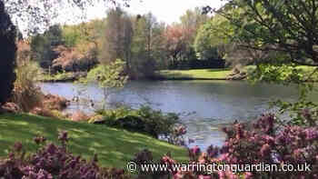 A walk around Centre Park lake, oasis in heart of Warrington