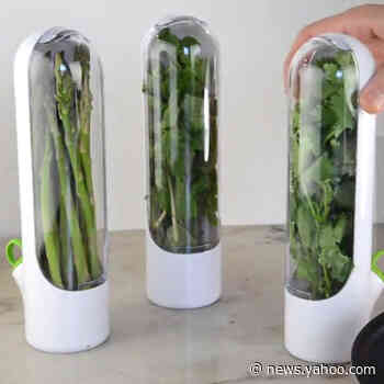 Keep your herbs fresh for three weeks with this gadget - Yahoo News