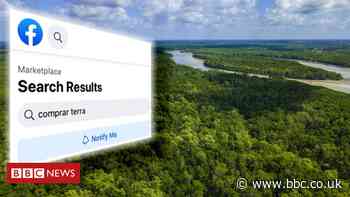 Facebook rainforest ads: Inquiry ordered into Amazon land sales