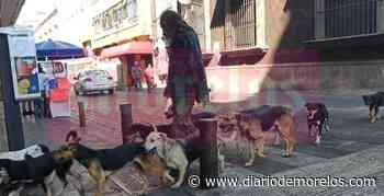 Como en Amores Perros, Cuernavaca tiene a su "Chivo" y se pasea con canes en el primer cuadro - Diario de Morelos