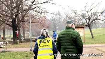 Modena. Parco Amendola, un wurstel con graffette: altra trappola per cani - La Gazzetta di Modena