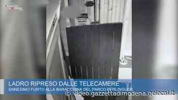 Modena, furto alla Baracchina: ladro ripreso dalle telecamere - Gazzetta di Modena