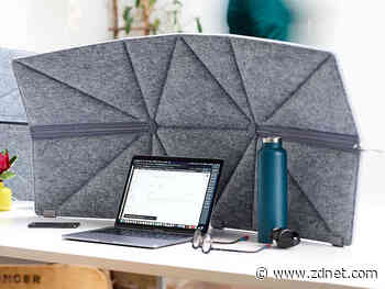 Create some personal space and block out distractions working from home with this divider
