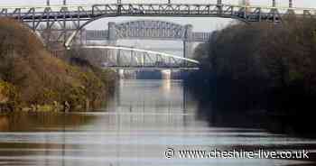 Mysterious 'big cat' spotted by man outside his kitchen window in Warrington - Cheshire Live