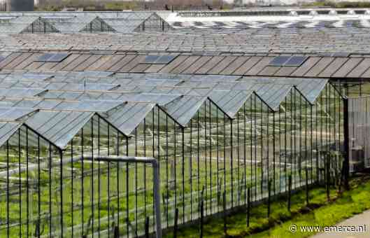 Westland krijgt ‘grootste winkelplatform van Nederland’