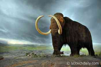 First Humans in New England May Have Shared the Landscape With Woolly Mammoths
