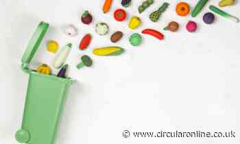 UN: 17% of all food available at consumer levels is wasted - Circular Online