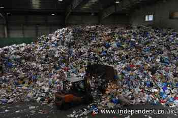 ‘Massive’ impact of food waste on climate with nearly a billion tons binned each year, finds UN report - The Independent