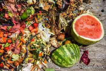 Almost 20% of food sold to homes, restaurants and shops ends up in the bin - iNews