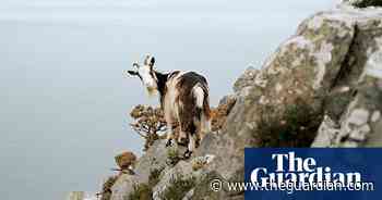 Stunning staycations, digital breathing and whirlwind LA – the week in art