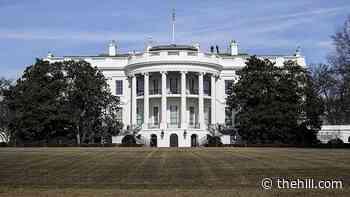 Biden appoints tech critic to competition policy role