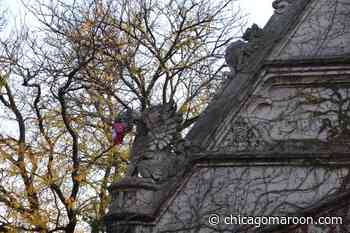 College Launches New “Media Arts and Design” Major - The Chicago Maroon