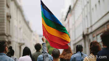 Houston becomes first in Texas to set participation goals for LGBTQ-certified businesses in city contracts - KTRK-TV