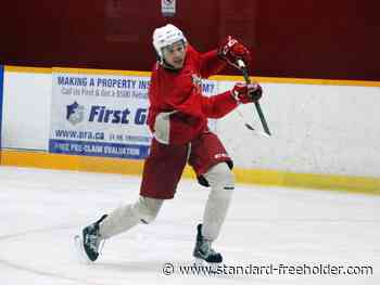 Pembroke Lumber Kings drop both weekend scrimmages to Carleton Place Canadians - Standard Freeholder