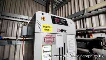 Case against RHI cuts put on hold