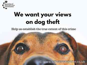 Chance to have your say on dog theft - St Helens Reporter