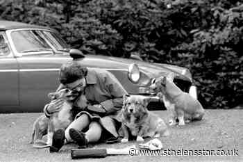 Queen owns corgis again as she welcomes two new puppies - St Helens Star