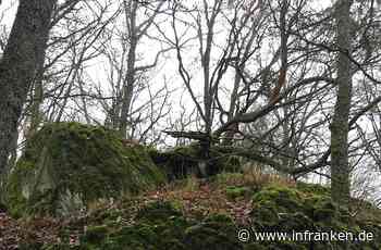 Bischofsheim: Ein Waldstück namens Türmchen - inFranken.de