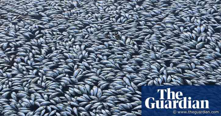 The disaster movie playing in Australia's wild places – and solutions that could help hit pause