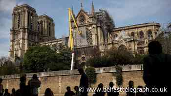 First oak trees selected to replace Notre Dame’s spire