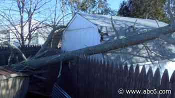 High winds knock down trees and power lines in Rhode Island - WLNE-TV (ABC6)